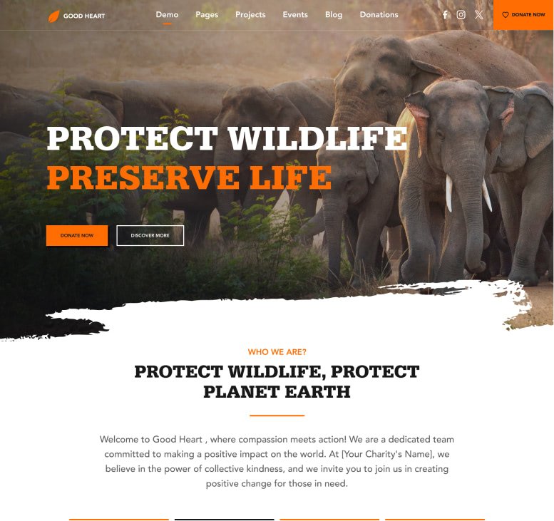 Wildlife Animals
